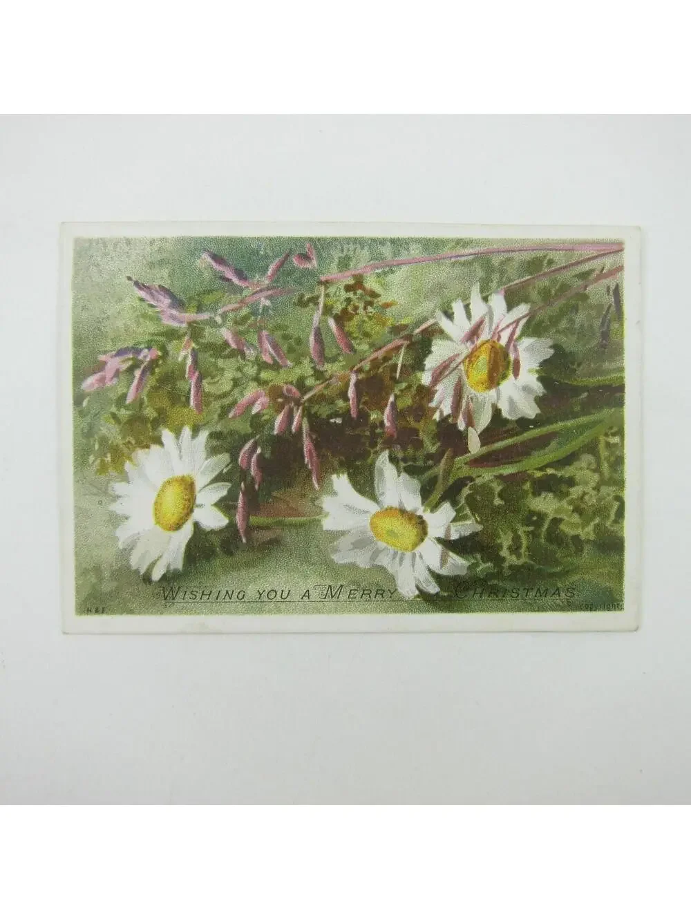 Victorian Christmas Card Hildesheimer & Faulkner Pink White Daisy Flower Antique